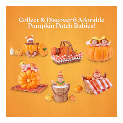My Mini Pumpkin Patch